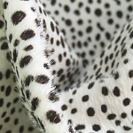 Мебельная ткань Искусственный мех  белый леопард 90 см T5-3 варинант исполнения - 1 | Loft Concept в Санкт-петербурге
