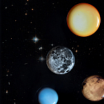 Блюдо Seletti Sun варинант исполнения - 6 | Loft Concept в Санкт-петербурге