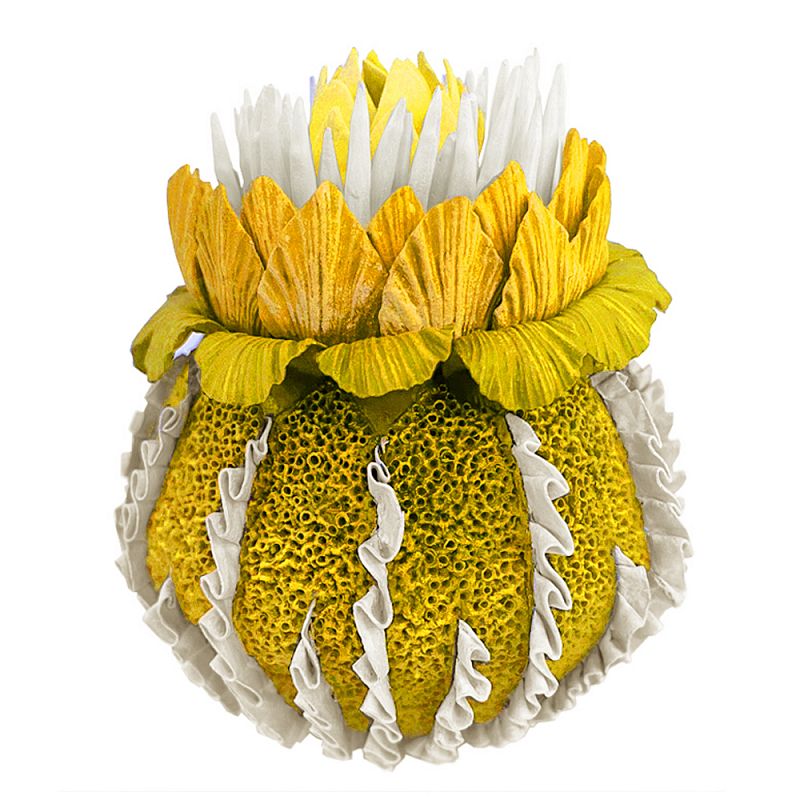 Желтый Экзотический фрукт Yellow Pandora Exotic Fruit 44 Желтый Желтый Экзотический фрукт Yellow Pandora Exotic Fruit 44 Желтый в Санкт-петербурге | Loft Concept