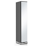 Шкаф-пенал с зеркальной дверцей и фасадом цвета графит Strict Lines варинант исполнения - 2 | Loft Concept в Санкт-петербурге