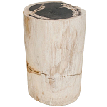 Стул из окаменелого дерева Petrified Wood варинант исполнения - 1 | Loft Concept в Санкт-петербурге