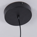 Люстра подвесная светодиодная черный металл Ring Horizontal варинант исполнения - 6 | Loft Concept в Санкт-петербурге