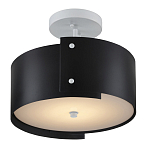 Потолочный светильник круглый светодиодный Semicircular White Panels чёрный варинант исполнения - 2 | Loft Concept в Санкт-петербурге