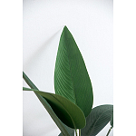 Декоративный искусственное растение Decor Stile  варинант исполнения - 2 | Loft Concept в Санкт-петербурге