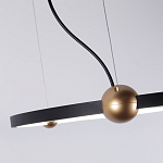 Люстра подвесная светодиодная черный металл Ring Horizontal варинант исполнения - 3 | Loft Concept в Санкт-петербурге
