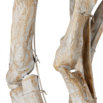 Люстра круглая в виде веток деревьев Natural Driftwood варинант исполнения - 3 | Loft Concept в Санкт-петербурге