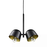 Подвесной светильник черный с 2-мя плафонами Pendant lamp Black варинант исполнения - 2 | Loft Concept в Санкт-петербурге