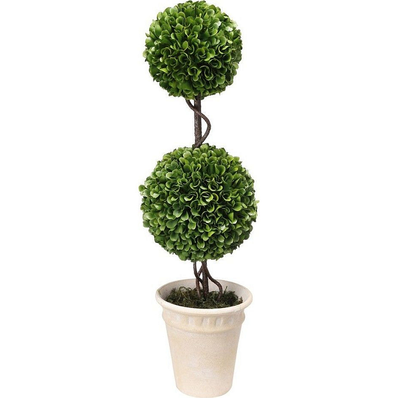 Декоративный искусственное растение Boxwood Зеленый Бежевый Коричневый в Санкт-петербурге | Loft Concept 