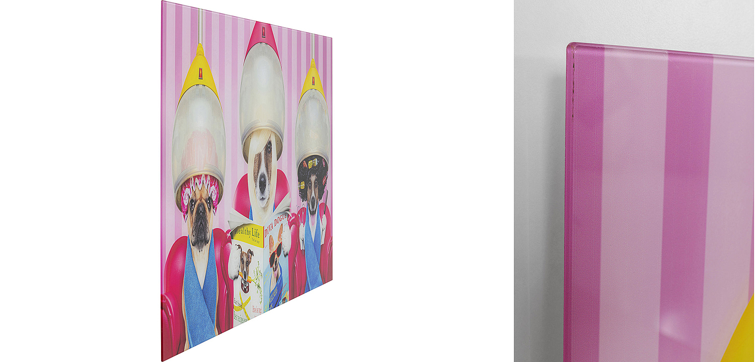 Картина Dogs in a beauty salon  - Loft-Concept в Санкт-петербурге