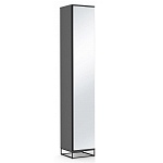 Шкаф-пенал с зеркальной дверцей и фасадом цвета графит Strict Lines варинант исполнения - 1 | Loft Concept в Санкт-петербурге