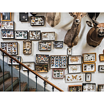 Книга Extraordinary Collections: French Interiors варинант исполнения - 11 | Loft Concept в Санкт-петербурге