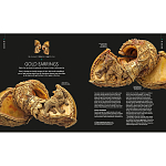 Книга Treasures of India From Antiquity to Modernity варинант исполнения - 3 | Loft Concept в Санкт-петербурге