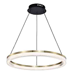 Люстра подвесная круглая светодиодная с золотым каркасом Ring Horizontal варинант исполнения - 3 | Loft Concept в Санкт-петербурге