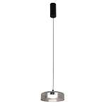 Подвесной светильник Blanton smoky 23 варинант исполнения - 2 | Loft Concept в Санкт-петербурге