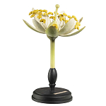 Статуэтка Tilia варинант исполнения - 2 | Loft Concept в Санкт-петербурге