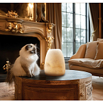 Настольная лампа в форме трапеции из натурального камня Soft Glow of Stone варинант исполнения - 5 | Loft Concept в Санкт-петербурге