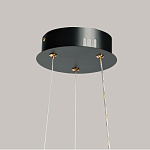 Люстра с прозрачным волнистым плафоном в форме цветка Ethereal Bloom варинант исполнения - 11 | Loft Concept в Санкт-петербурге