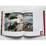 Книга Коллекция картин Сарджента Sargent: The Masterworks варинант исполнения - 6 | Loft Concept в Санкт-петербурге