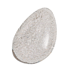 Бра с прозрачным рельефным плафоном на черном металлическом основании Iona варинант исполнения - 3 | Loft Concept в Санкт-петербурге