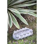 Кашпо Canaries варинант исполнения - 3 | Loft Concept в Санкт-петербурге