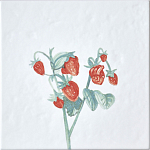 Плитка с узором Земляника варинант исполнения - 2 | Loft Concept в Санкт-петербурге