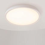 Потолочный светильник Incognito 2700-4000К 46Вт варинант исполнения - 4 | Loft Concept в Санкт-петербурге