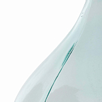 Ваза-бутыль из стекла TRANSPARENT FORMS 56 варинант исполнения - 4 | Loft Concept в Санкт-петербурге