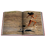 Лимитированная подарочная большая книга CARTIER Panthère варинант исполнения - 12 | Loft Concept в Санкт-петербурге