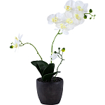 Декоративный искусственное растение Angel Orchid варинант исполнения - 1 | Loft Concept в Санкт-петербурге