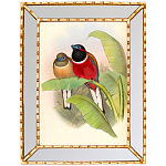 Постер с изображением птиц и цветов в зеркальной раме Blooming Birds Poster варинант исполнения - 6 | Loft Concept в Санкт-петербурге