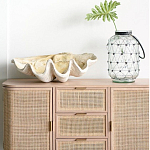 Блюдо декоративное в виде ракушки Seashell варинант исполнения - 1 | Loft Concept в Санкт-петербурге