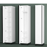 Шкаф-пенал белый с зеркальной дверцей Strict Lines варинант исполнения - 5 | Loft Concept в Санкт-петербурге