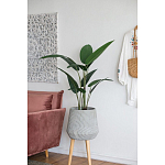 Декоративный искусственное растение Decor Stile  варинант исполнения - 6 | Loft Concept в Санкт-петербурге