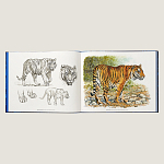 Лимитированная подарочная книга HERMES Fierce and Fragile book, English version варинант исполнения - 2 | Loft Concept в Санкт-петербурге