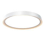 Потолочный светильник Incognito 2700-4000К 46Вт варинант исполнения - 1 | Loft Concept в Санкт-петербурге