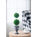 Декоративный искусственное растение Double boxwood варинант исполнения - 5 | Loft Concept в Санкт-петербурге