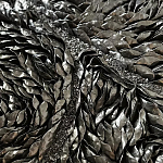 Панно «Чёрный лебедь» варинант исполнения - 3 | Loft Concept в Санкт-петербурге