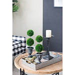 Декоративный искусственное растение Double boxwood варинант исполнения - 8 | Loft Concept в Санкт-петербурге