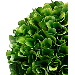 Декоративный искусственное растение Single boxwood варинант исполнения - 2 | Loft Concept в Санкт-петербурге