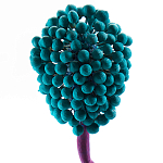 Статуэтка для интерьера фрукт Pandora Tropical Fruit 22 варинант исполнения - 2 | Loft Concept в Санкт-петербурге