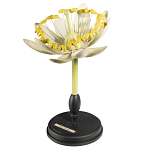 Статуэтка Tilia варинант исполнения - 3 | Loft Concept в Санкт-петербурге