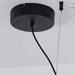 Люстра подвесная светодиодная черный металл Ring Horizontal варинант исполнения - 13 | Loft Concept в Санкт-петербурге