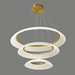 Люстра подвесная с 3-мя кольцевыми светодиодными лампами Catcher варинант исполнения - 1 | Loft Concept в Санкт-петербурге