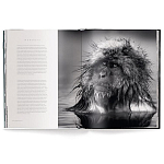 Книга Beusker. Look into my Eyes варинант исполнения - 3 | Loft Concept в Санкт-петербурге