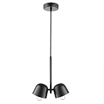 Подвесной светильник черный с 2-мя плафонами Pendant lamp Black варинант исполнения - 1 | Loft Concept в Санкт-петербурге