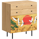 Комод с принтом на ящиках Elise Chest of Drawers варинант исполнения - 4 | Loft Concept в Санкт-петербурге