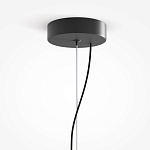 Подвесной светильник Rare grapes варинант исполнения - 4 | Loft Concept в Санкт-петербурге