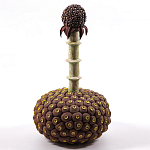 Статуэтка тропический фрукт Pandora Tropical Fruit Brown варинант исполнения - 2 | Loft Concept в Санкт-петербурге