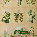 Обои ручная роспись Botanical Studies Linnaeus colourway варинант исполнения - 3 | Loft Concept в Санкт-петербурге