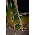 Панно «Амазония» варинант исполнения - 3 | Loft Concept в Санкт-петербурге